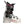 Salomon S/Pro Supra S BOA 120 Ski Boots - 2027 - Men's