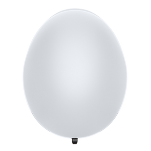 Smith Method Snow Helmet - Adult