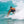 Softech 5'0