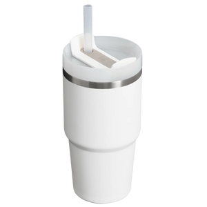 Stanley The Quencher H2.0 FlowState 20 oz Tumbler - 2025