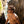 Electric Swingarm Sunglasses - Polarized