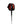 FCS All Round Essential Ankle Surf Leash - 6'