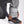 The North Face Seymore Snow Pant - Men's
