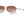 Smith Langley Sunglasses - Women's