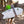 Softech 5'8
